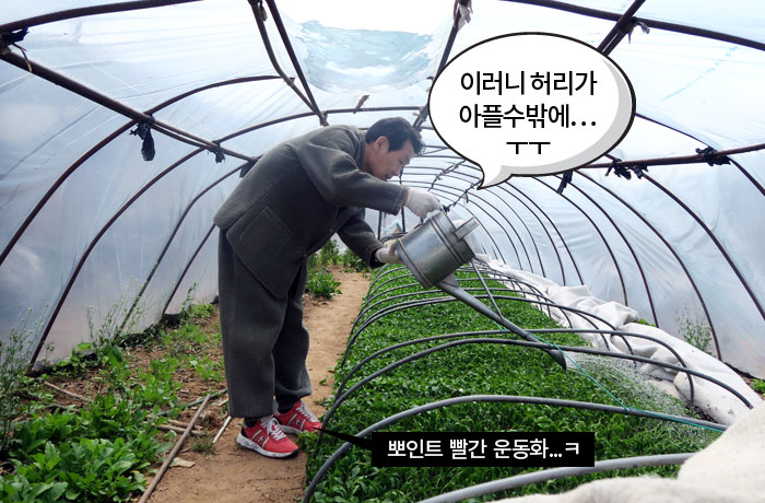 자생한방병원 6시 내고향 떴다! 내고향 닥터 이미지-7