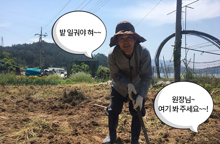 자생한방병원 6시 내고향 떴다! 내고향 닥터 이미지-9