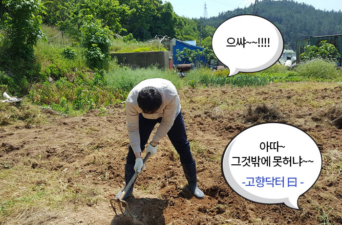 자생한방병원 6시 내고향 떴다! 내고향 닥터 이미지-10