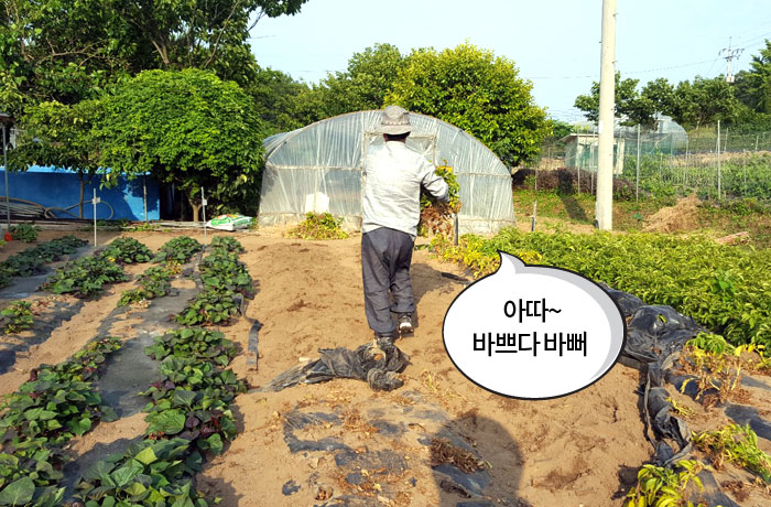 자생한방병원 6시 내고향 떴다! 내고향 닥터 비하인드 스토리-08