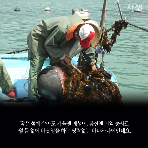 자생한방병원 6시 내고향 떴다! 내고향 닥터 고향스토리 에피소드 3 - 초완도 부부의 섬집 이야기 05