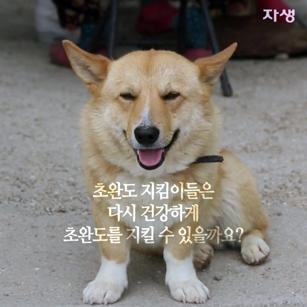 자생한방병원 6시 내고향 떴다! 내고향 닥터 고향스토리 에피소드 3 - 초완도 부부의 섬집 이야기 11