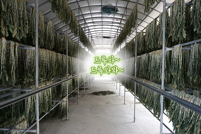 자생의료재단 자생한방병원 별다방! 별걸 다 해주는 고향닥터01_7