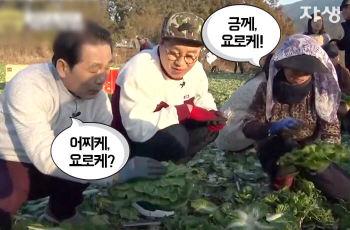 자생의료재단 자생한방병원 별다방! 별걸 다 해주는 고향닥터03_6