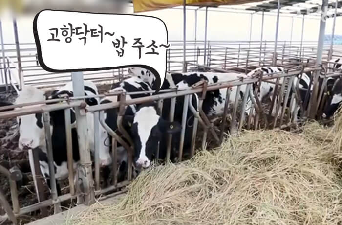 자생의료재단 자생한방병원 별다방! 별걸 다 해주는 고향닥터05_12