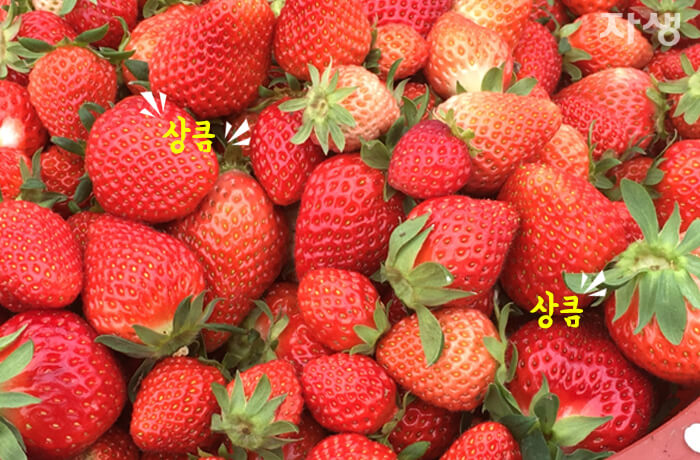 자생의료재단 자생한방병원 별다방! 별걸 다 해주는 고향닥터06_05