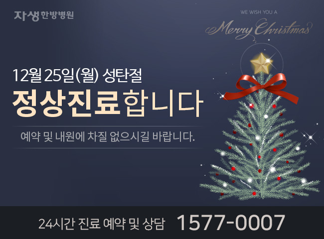 자생한방병원 12월25일(월)성탄절 정상진료합니다. 예약 및 내원에 차질 없으시길 바랍니다. 24시간 진료 예약 및 상담 1577-0007