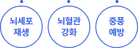 뇌세포 재생,뇌혈관 강화,중풍예방