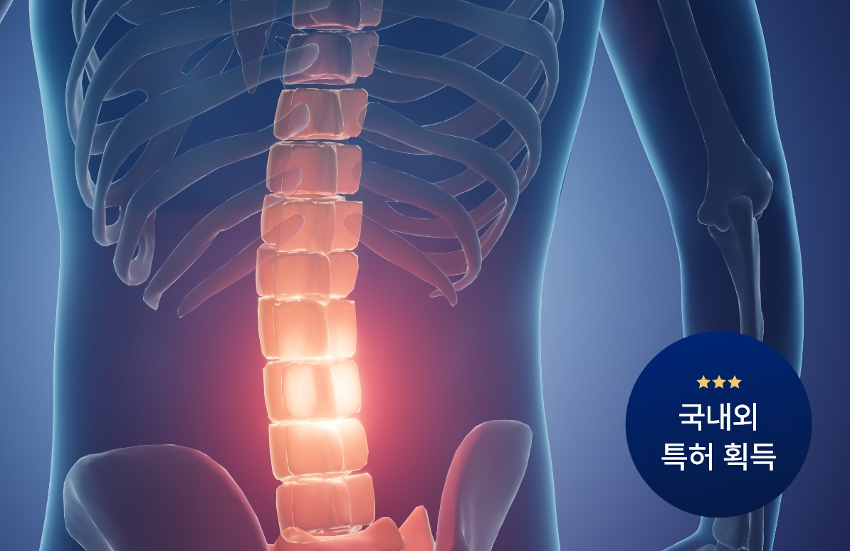 척추 부위를 강조한 의학적 일러스트